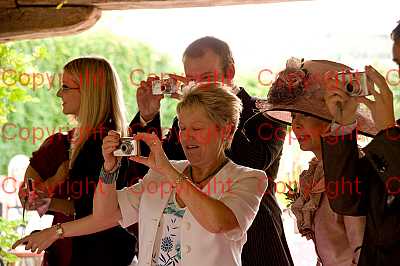 photographer Canterbury