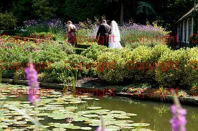 photographer Canterbury