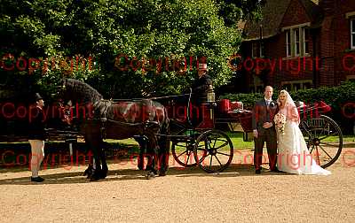 photographer Canterbury