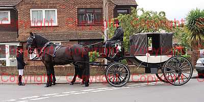 photographer Canterbury